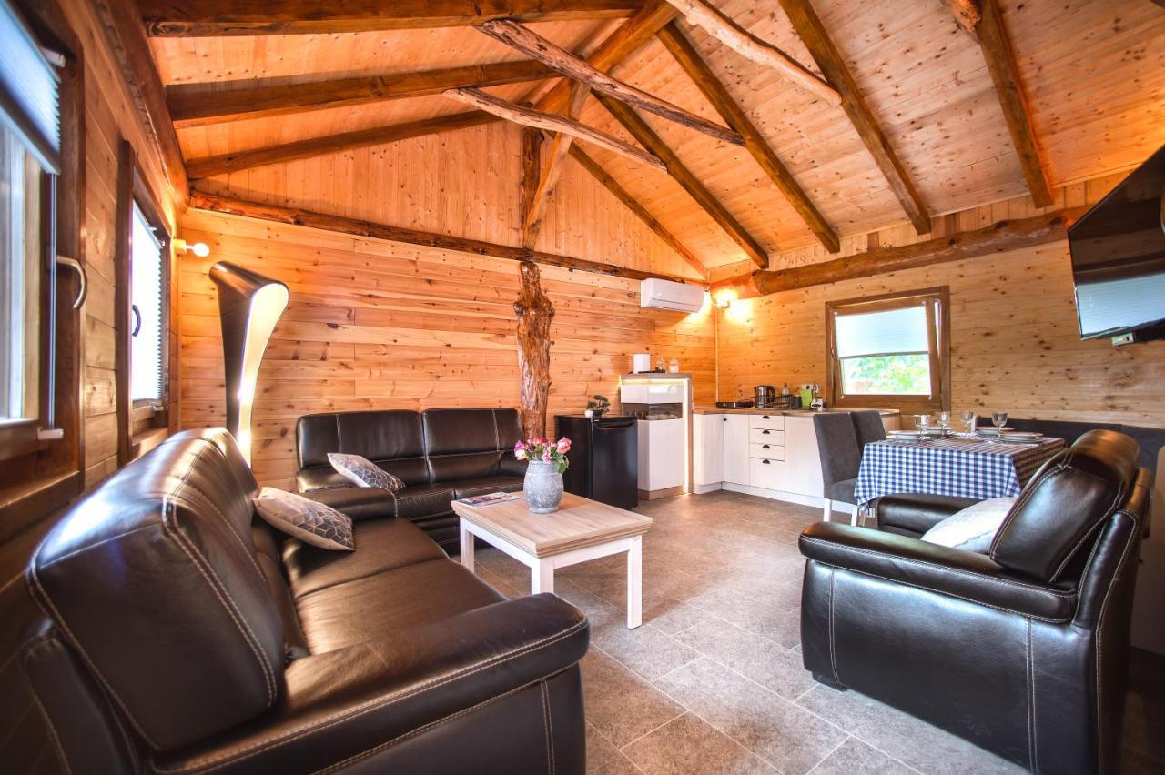 Brvnara Aurora Vista Villa Velika Remeta Bagian luar foto