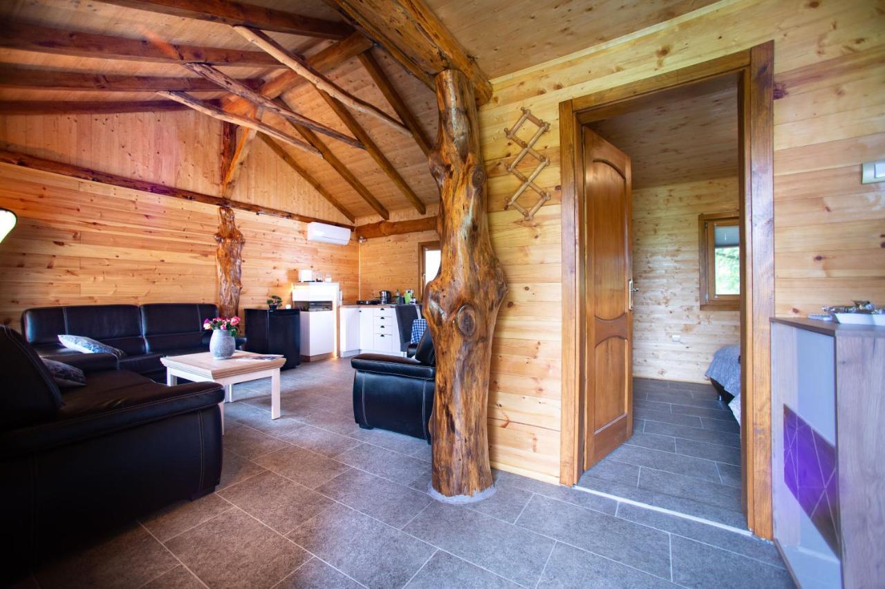 Brvnara Aurora Vista Villa Velika Remeta Bagian luar foto