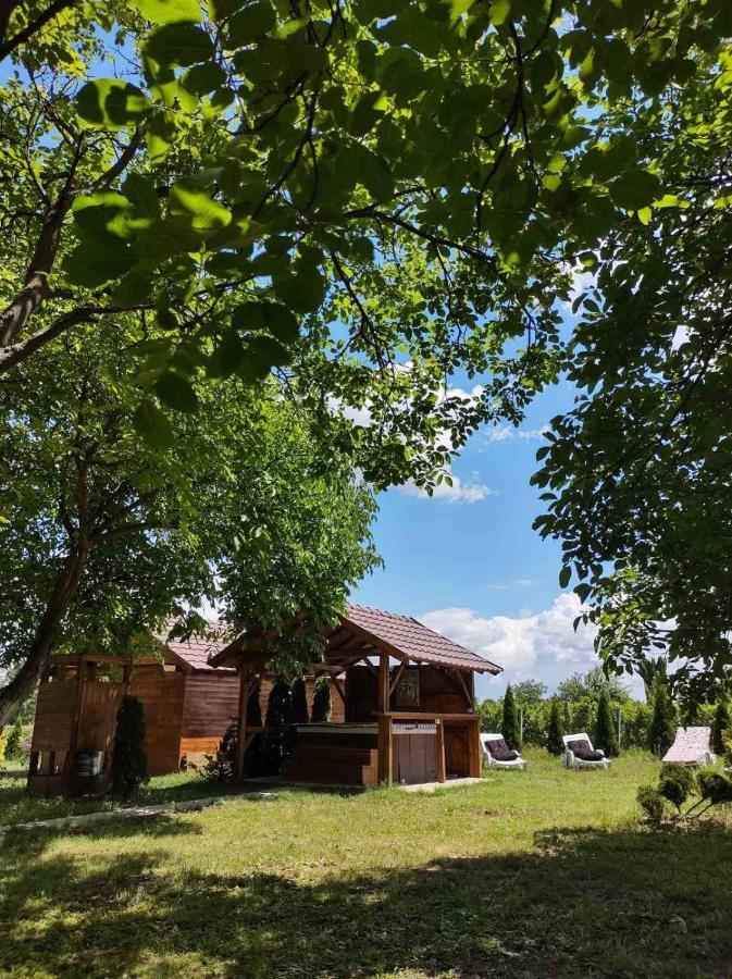 Brvnara Aurora Vista Villa Velika Remeta Bagian luar foto