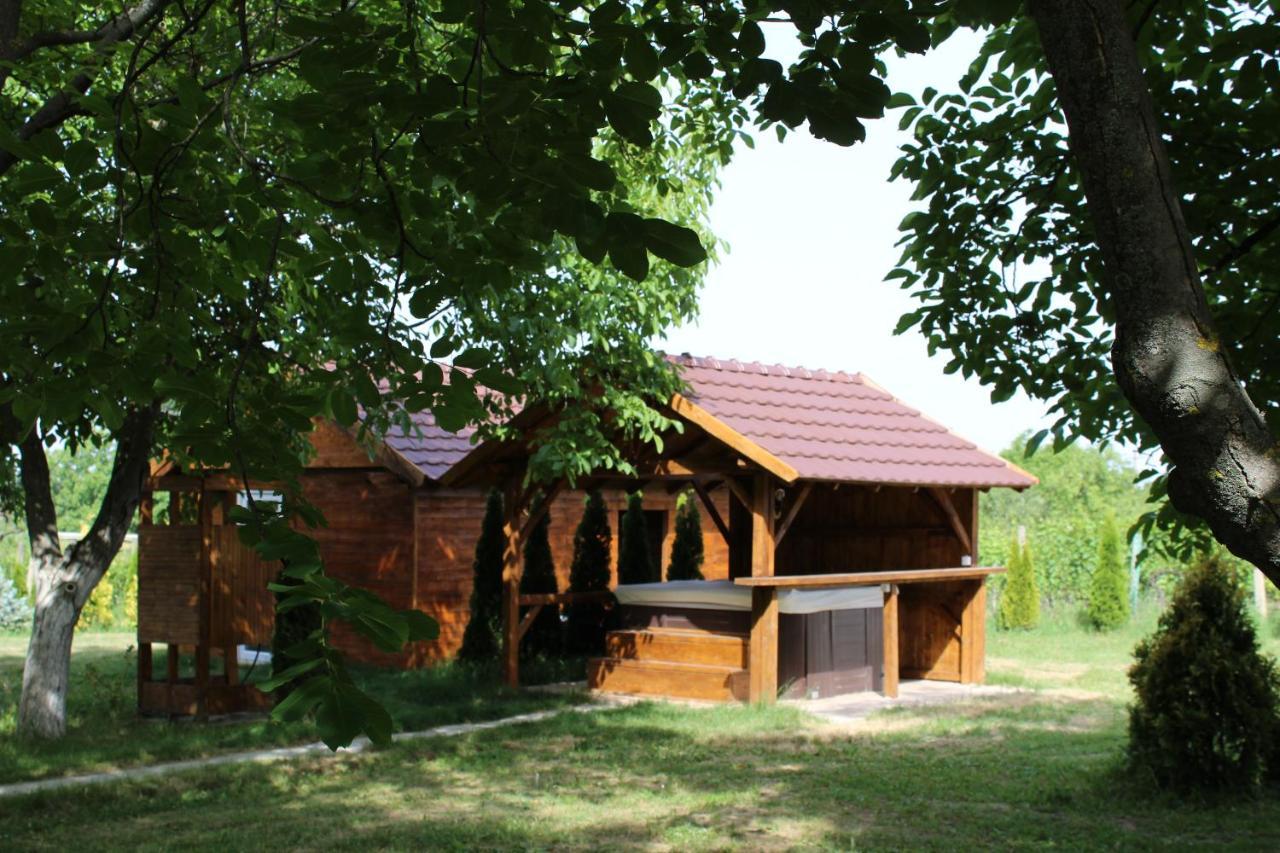 Brvnara Aurora Vista Villa Velika Remeta Bagian luar foto